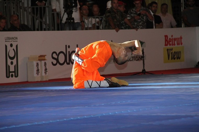 Martial Arts Festival